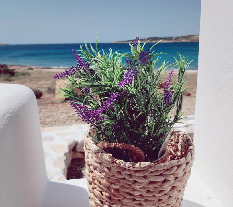 Photo of Others in Koufonisia