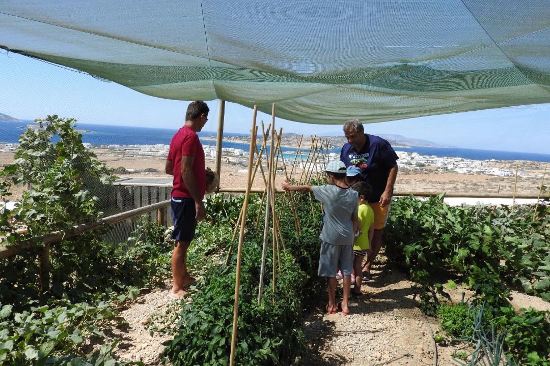 Photo of Others in Koufonisia