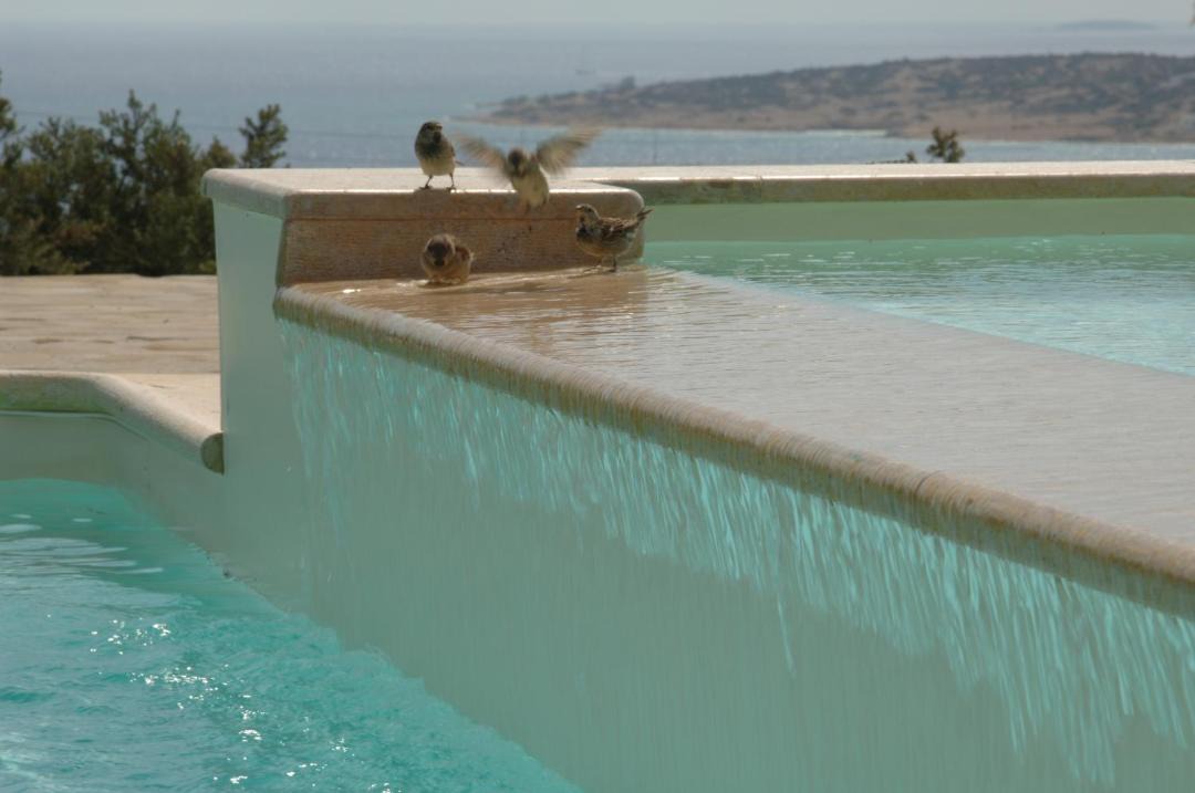 Photo of Others in Koufonisia