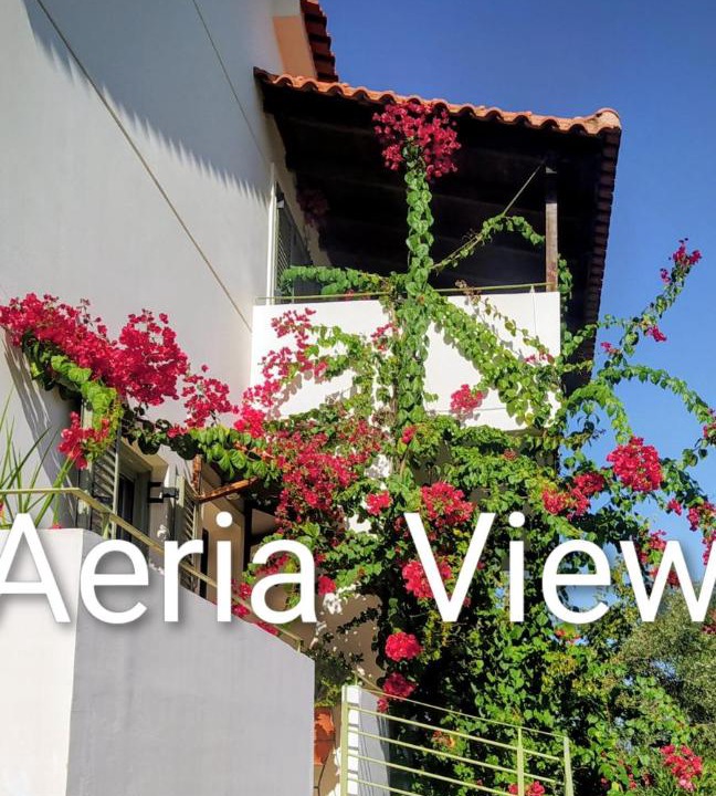Photo of Patio Balcony in Eva