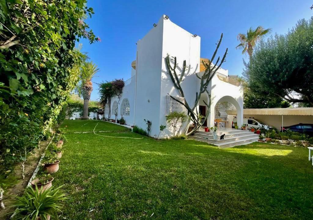 Photo of Others in Eastern Hammamet