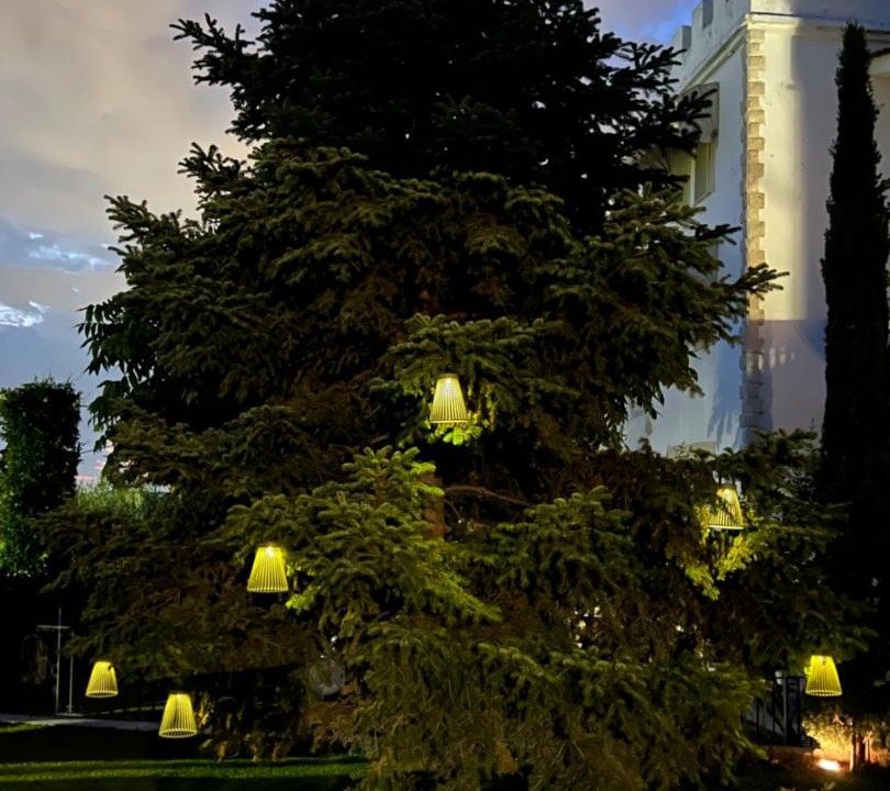Photo of Others in Panorama