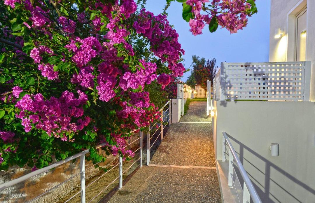Photo of Others in Platanes