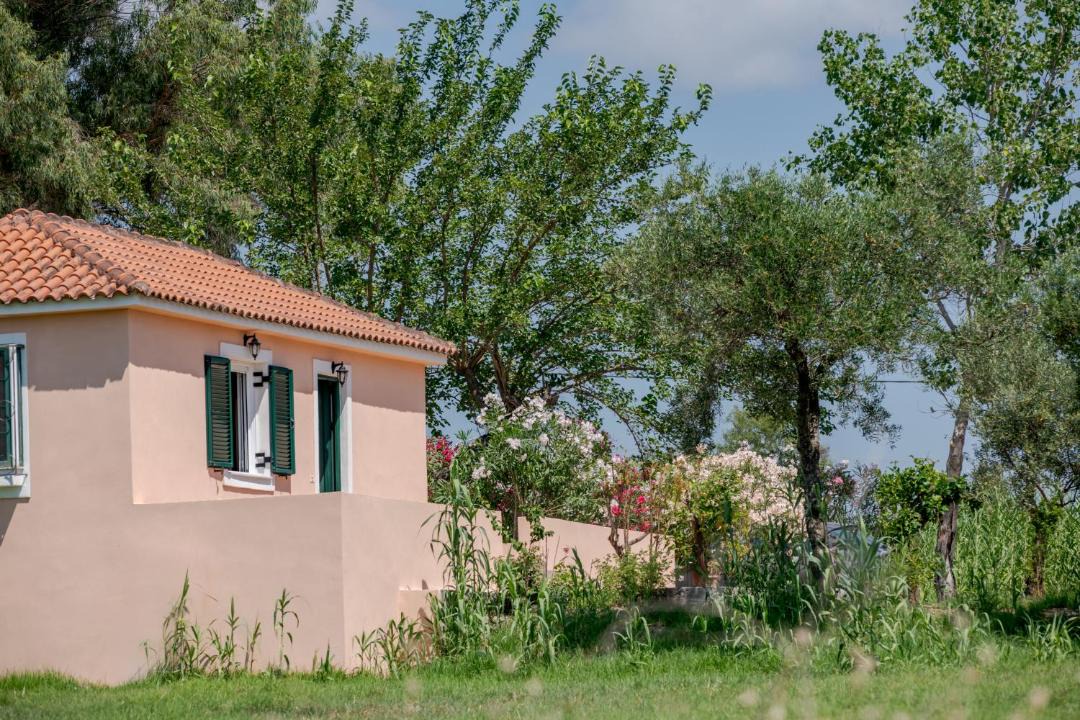 Photo of Others in Pantokratoras
