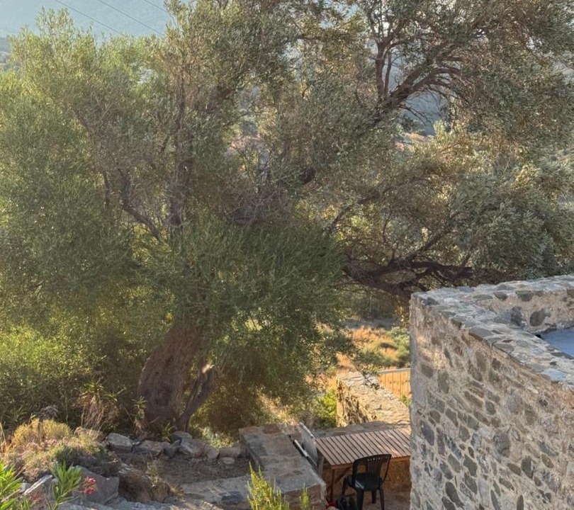 Photo of Others in Agia Galini