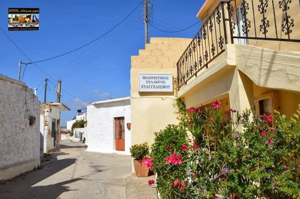 Photo of Others in Minoa Pediada