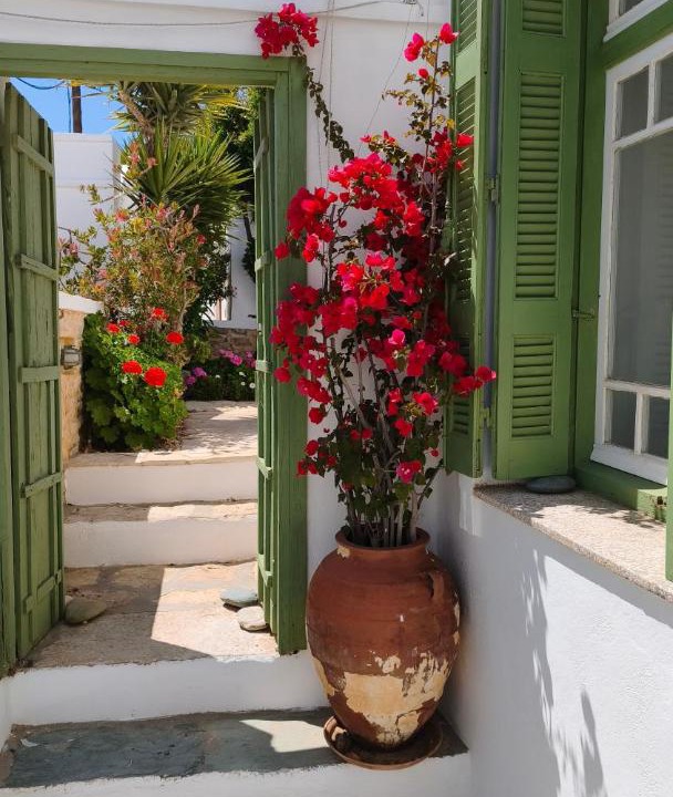 Photo of Others in Folegandros Town