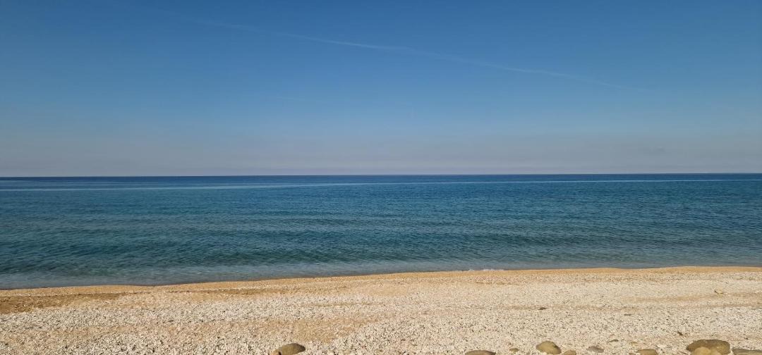 Photo of Others in Zalongo