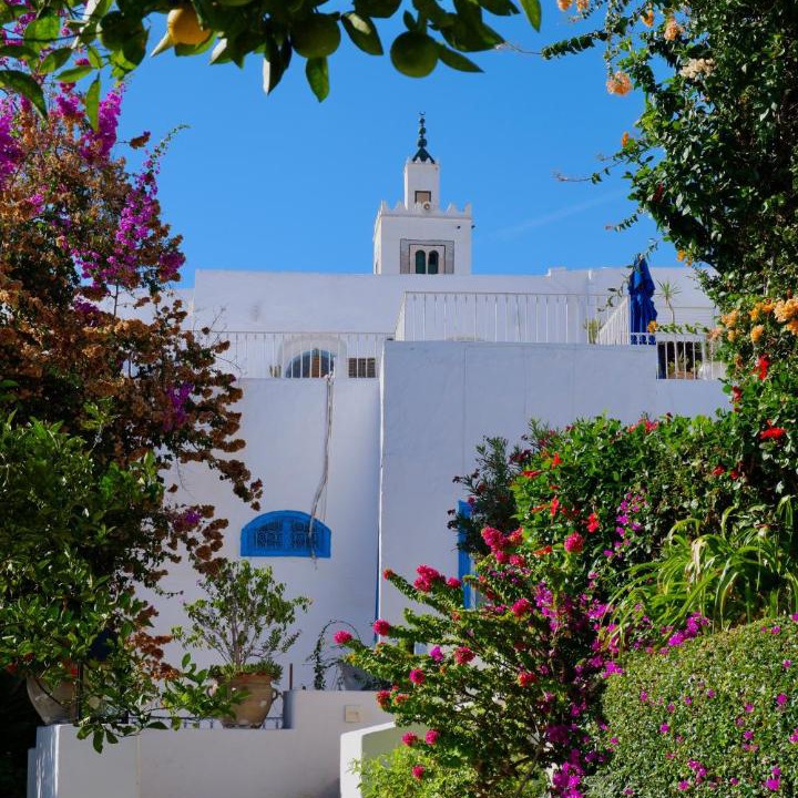 Photo of Others in Sidi Bou Said