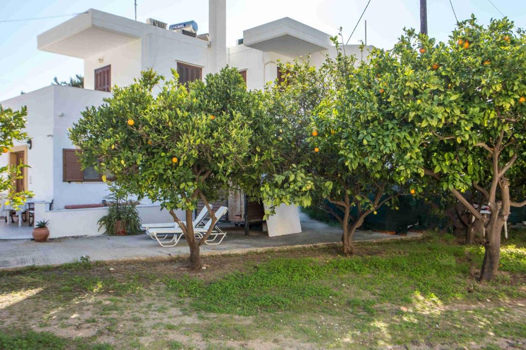 Photo of Others in Pefkos