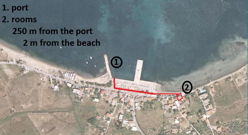 Photo of Others in Skala Prinou