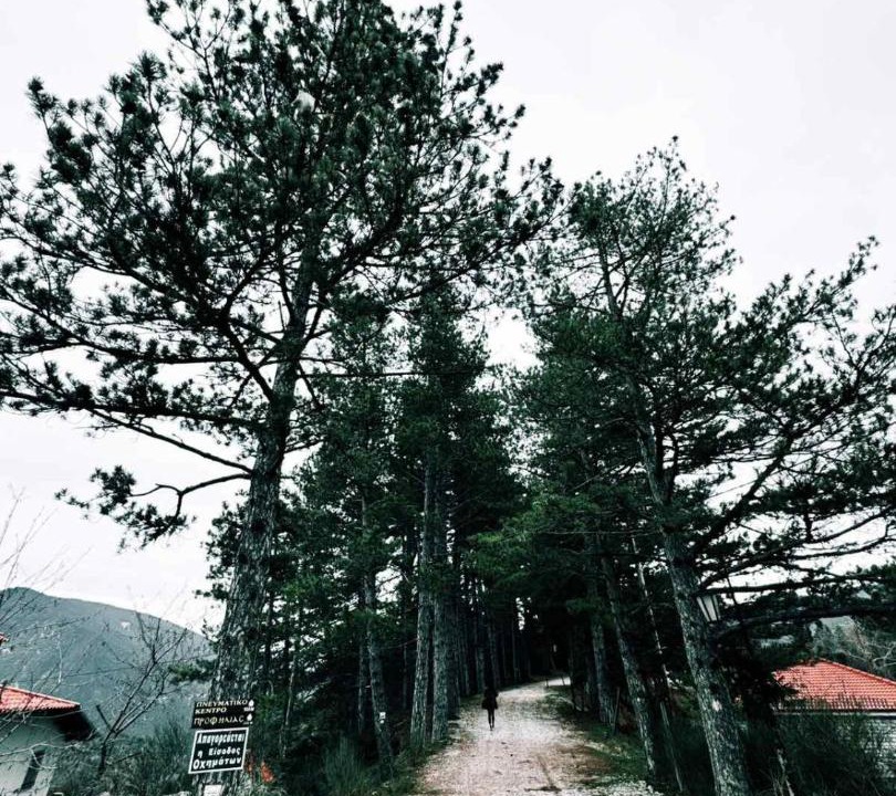 Photo of Others in Dhomnista