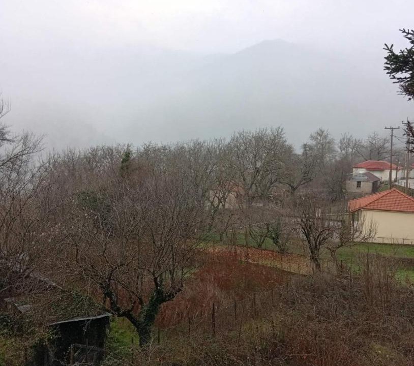 Photo of Others in Dhomnista