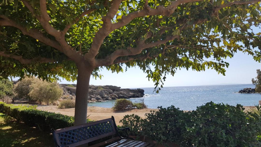 Photo of Outdoor in Fragkokastello