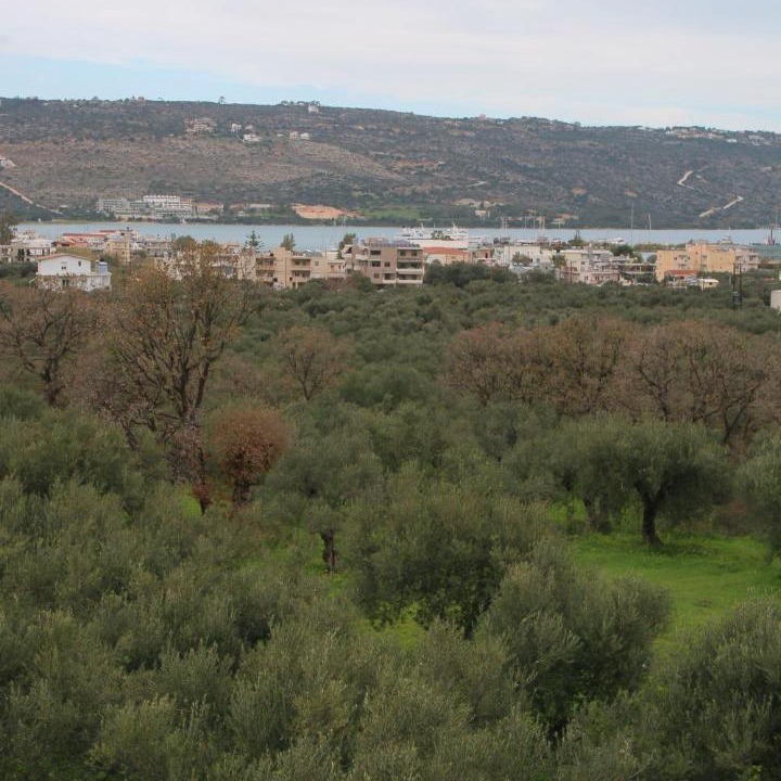 Photo of Others in Tsikalaria
