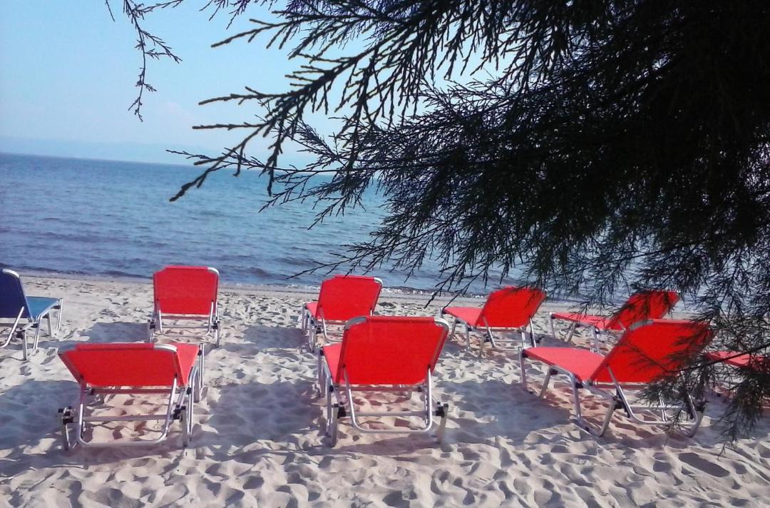 Photo of Others in Skala Prinou