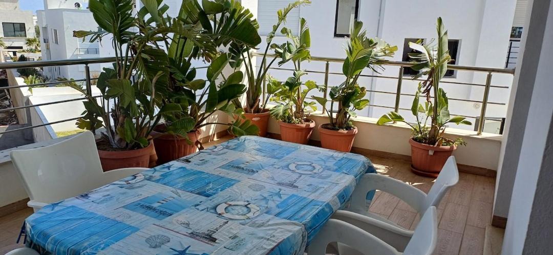 Photo of Patio Balcony in Mansoura