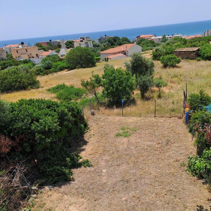 Photo of Others in Agia Ermioni