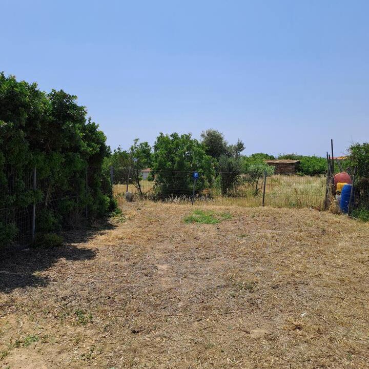 Photo of Others in Agia Ermioni
