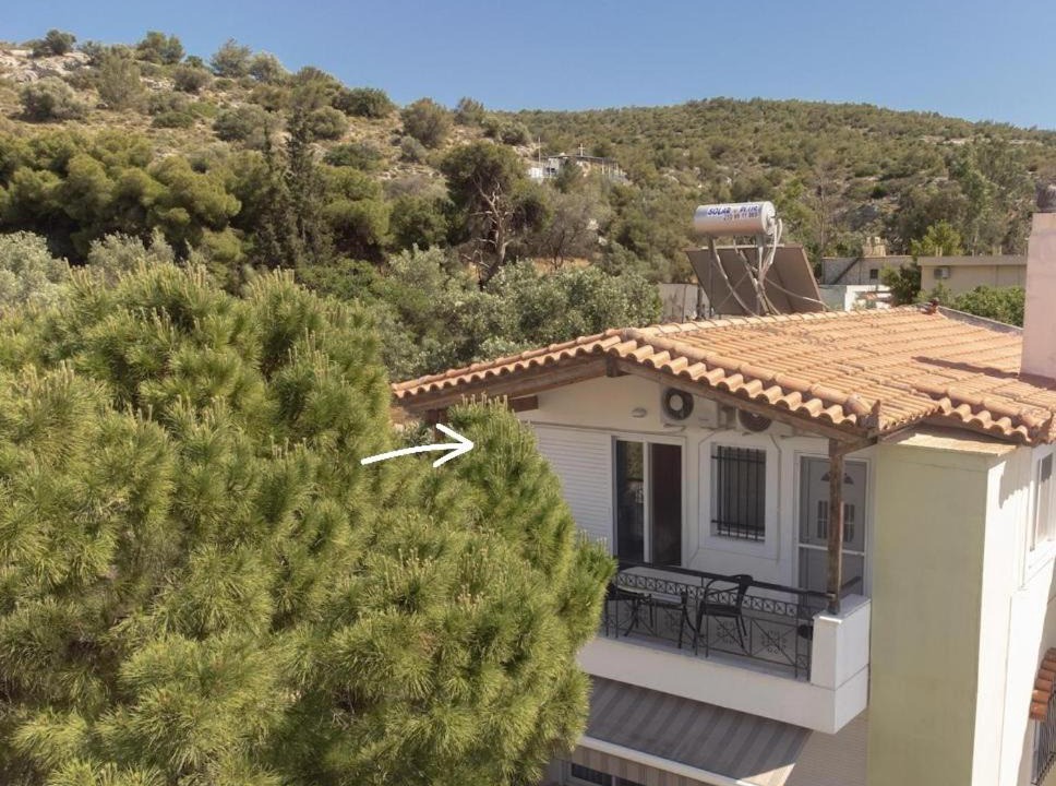Photo of Others in Vari-Voula-Vouliagmeni