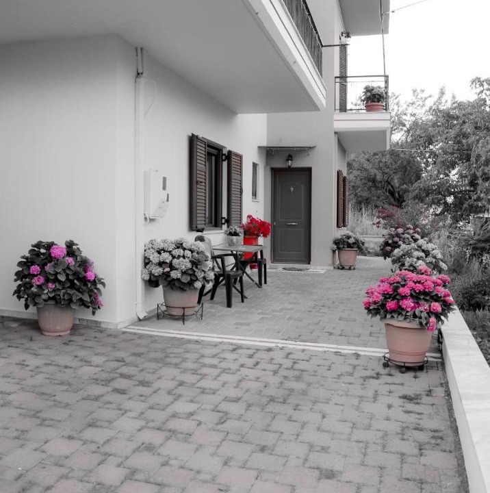 Photo of Buildings in Levidi