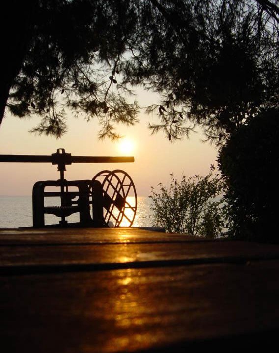 Photo of Others in Paradhisos