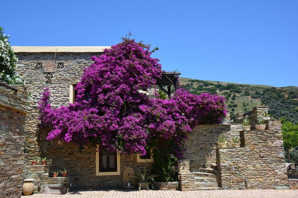 Photo of Others in Ydrousa