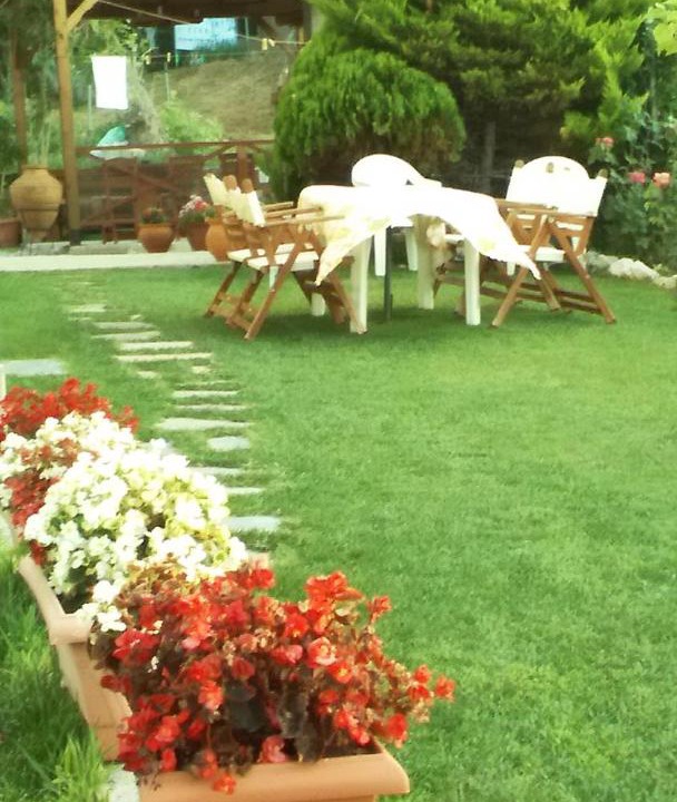 Photo of Others in Agia