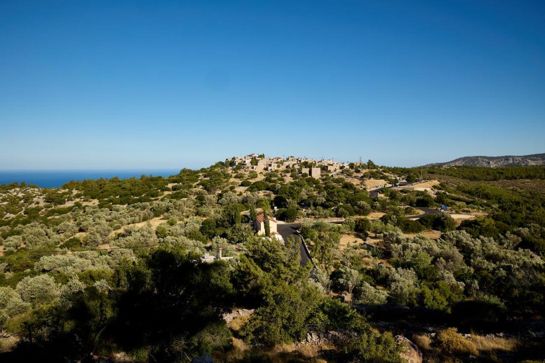 Photo of Others in Avgonima