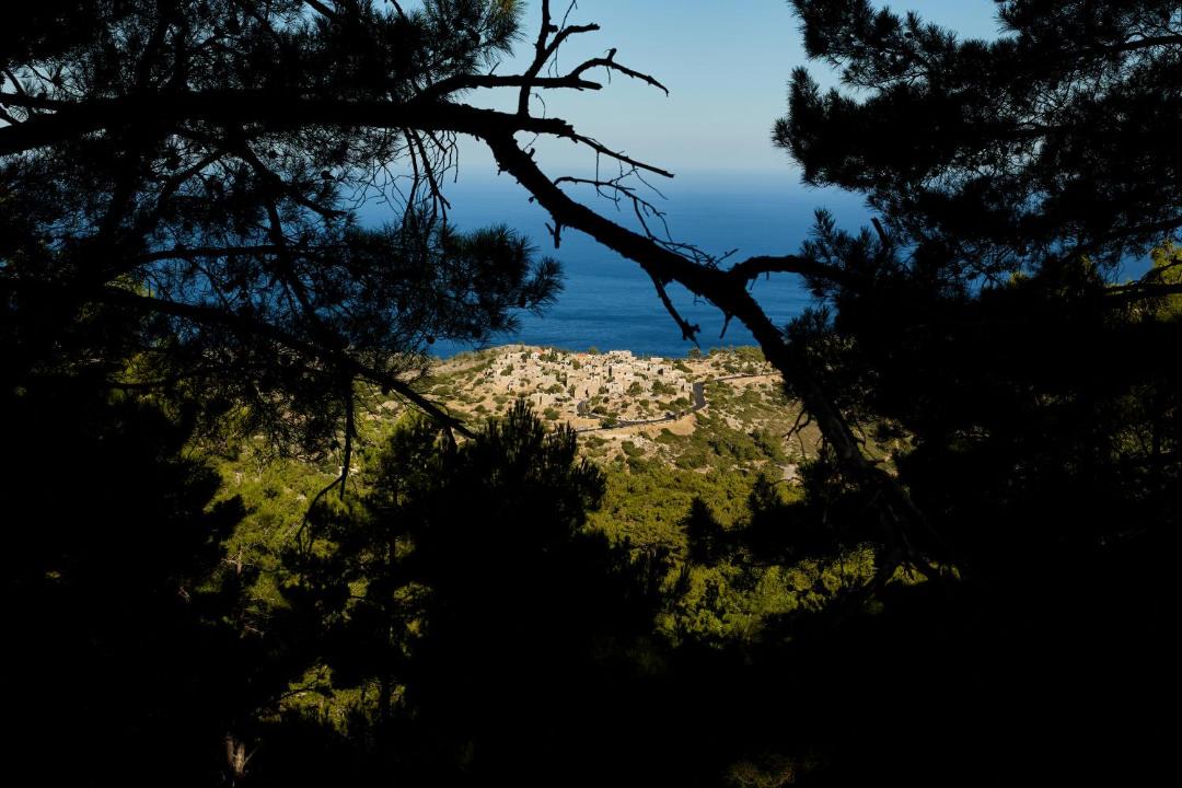 Photo of Others in Avgonima