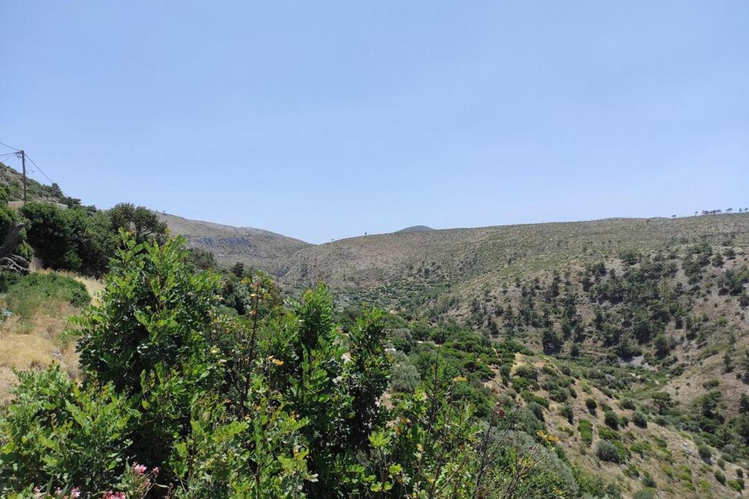 Photo of Others in Avgonyma