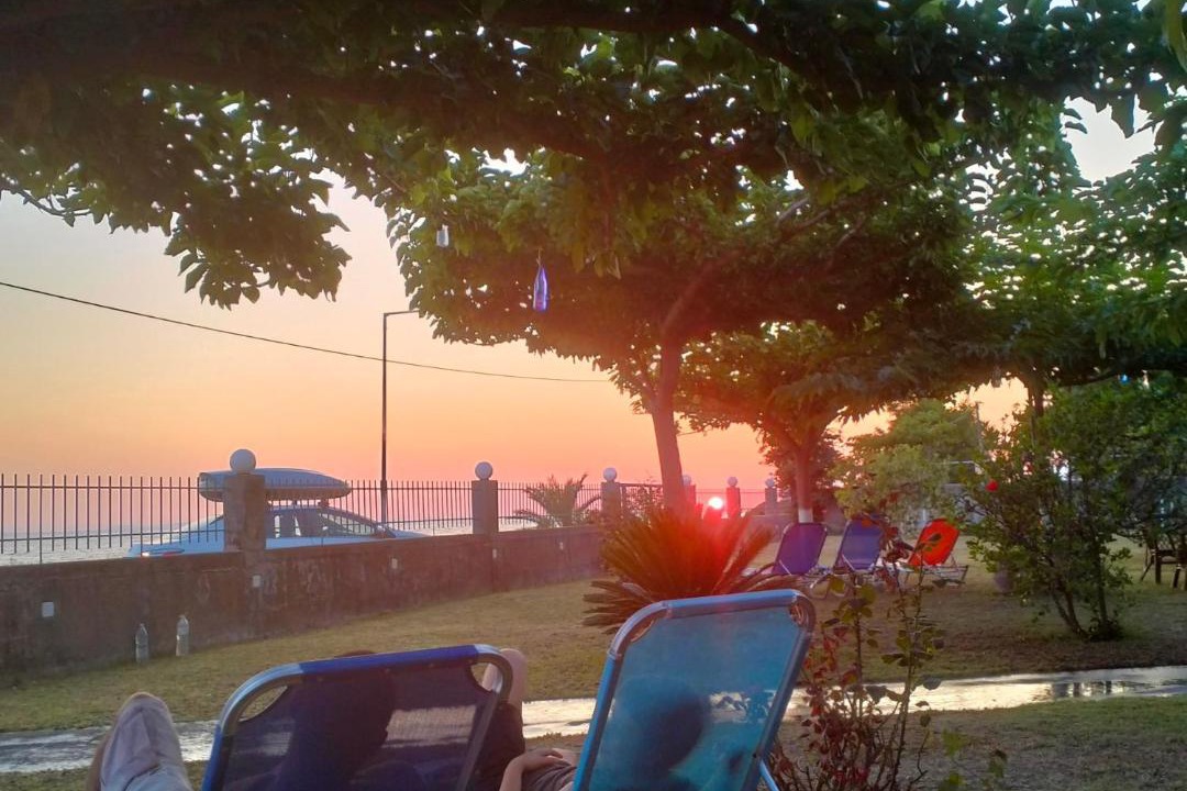 Photo of Others in Lygia