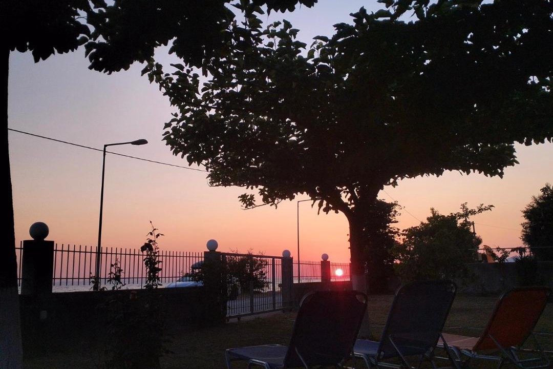 Photo of Others in Lygia