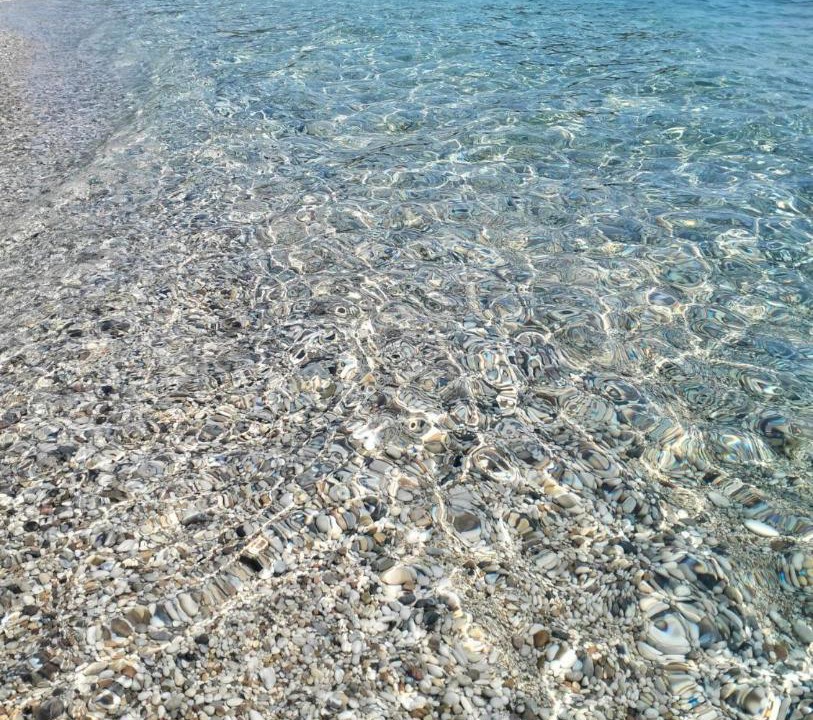Photo of Others in Lygia