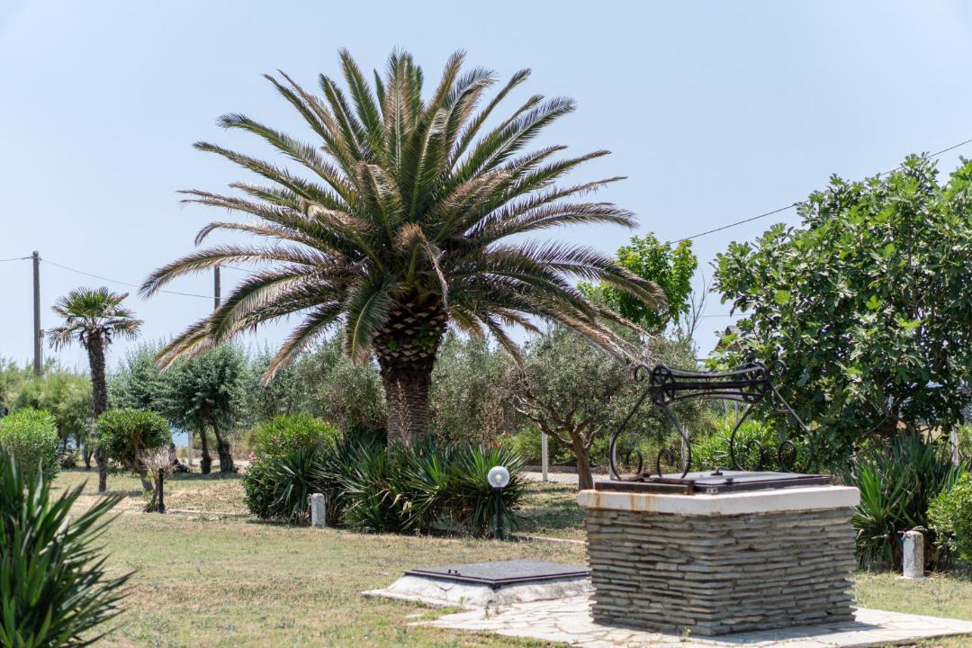 Photo of Others in Alexandroupoli