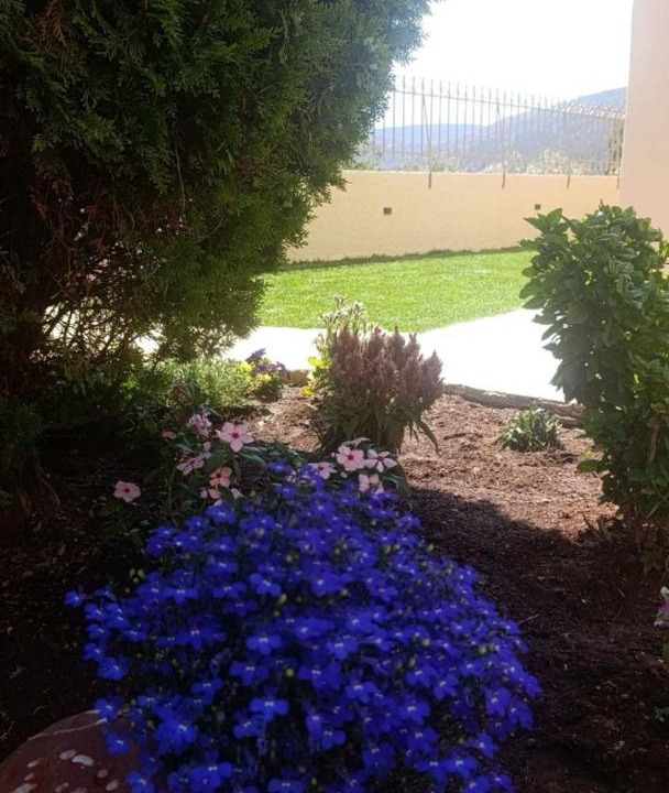 Photo of Outdoor in Porto Rafti