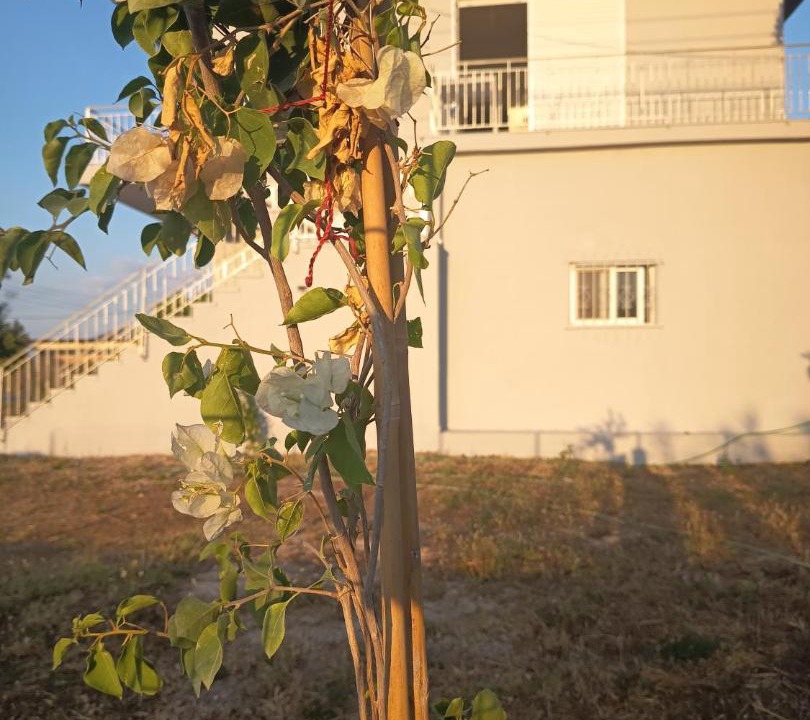 Photo of Others in Zalongo