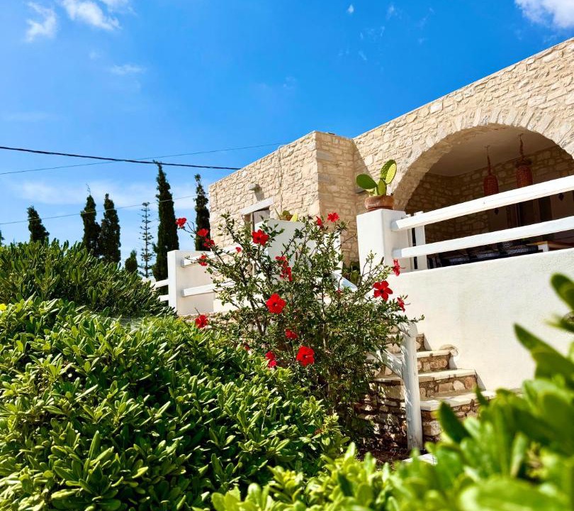 Photo of Others in Aliki