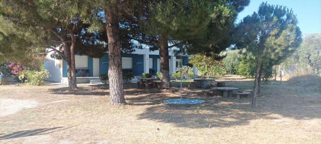 Photo of Others in Skala Prinou