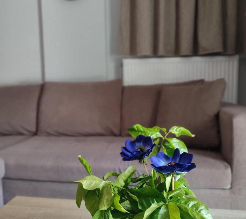 Photo of Livingroom in Kariotai