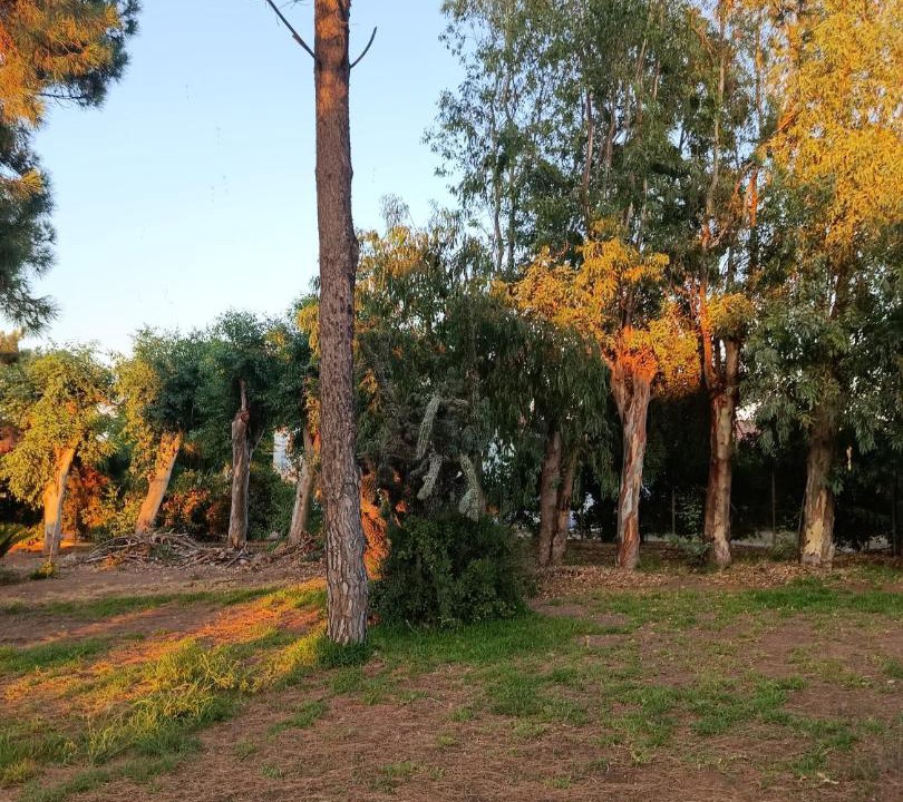 Photo of Outdoor in Lakopetra