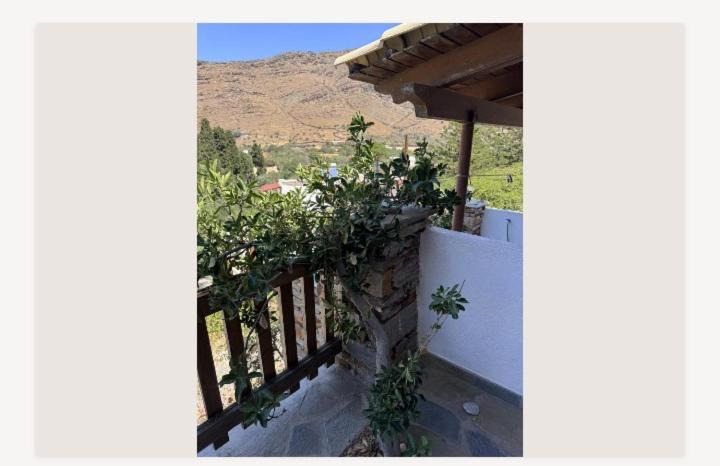Photo of Patio Balcony in Pisses