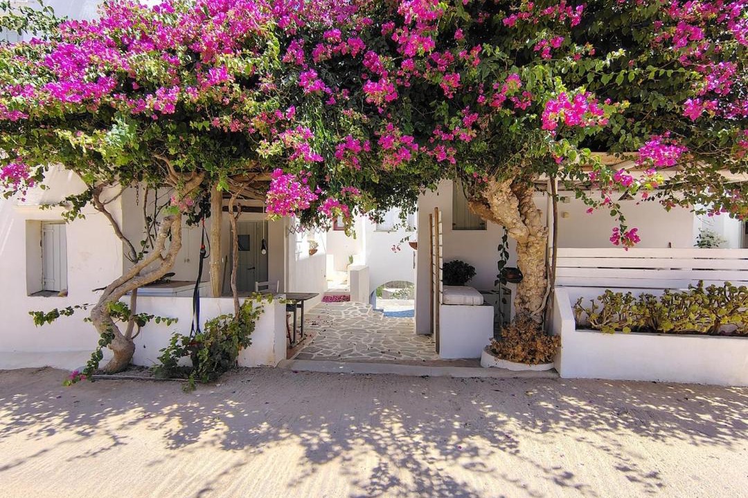 Photo of Others in Chora Folegandros