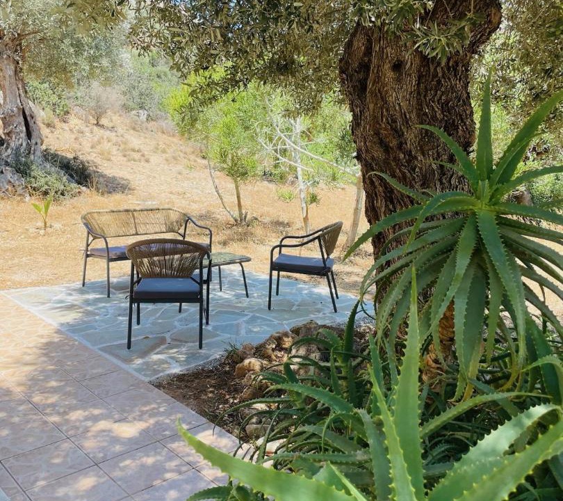 Photo of Others in Agia Galini