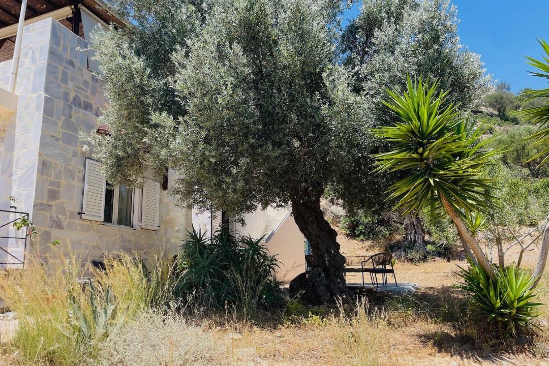 Photo of Others in Agia Galini