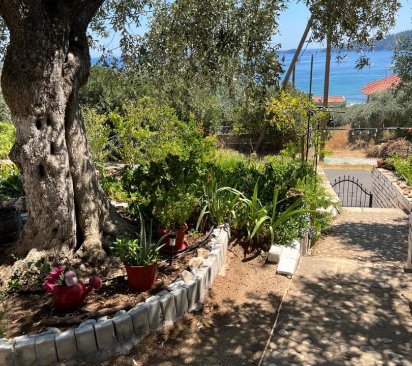 Photo of Others in Chrisi Ammoudia