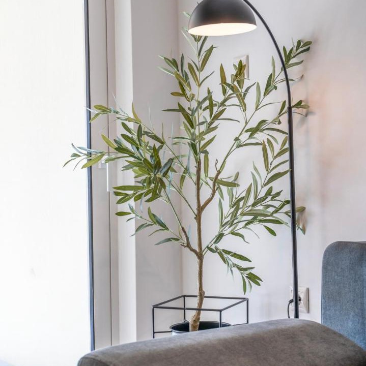 Photo of Livingroom in Varkiza