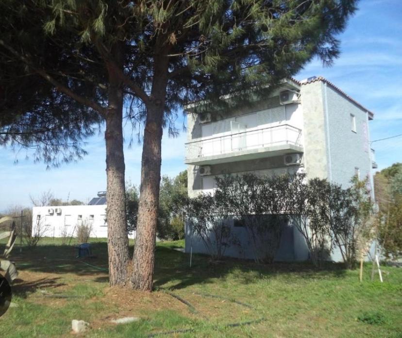 Photo of Others in Skala Prinou