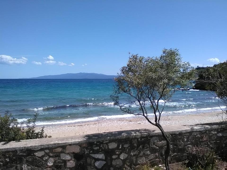 Photo of Others in Pirgadikia