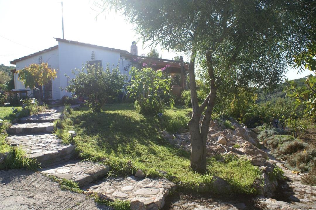 Photo of Others in Kritinia